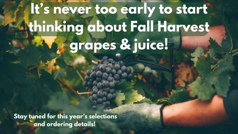 Fall 2025 Teaser Banner