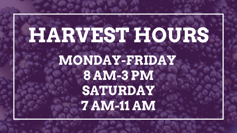Fall Hours 2023