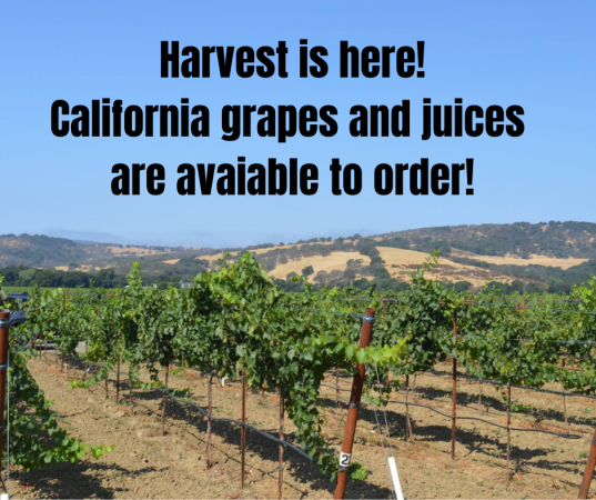 Harvest is Here!!