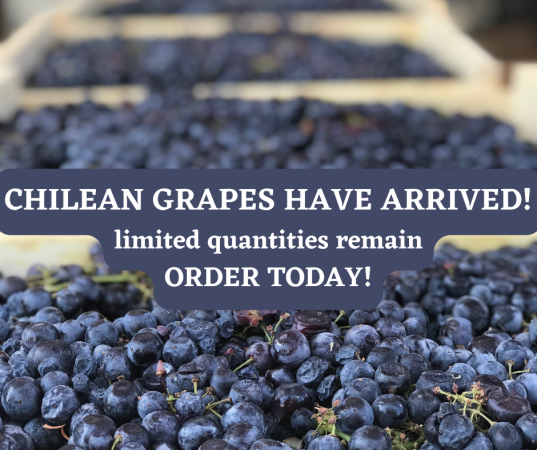 Grapes Banner 2023 Spring