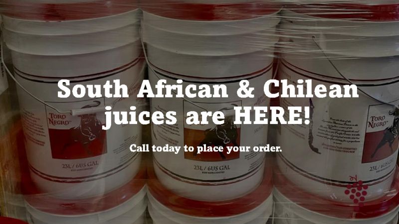 Spring Juice Banner 2023